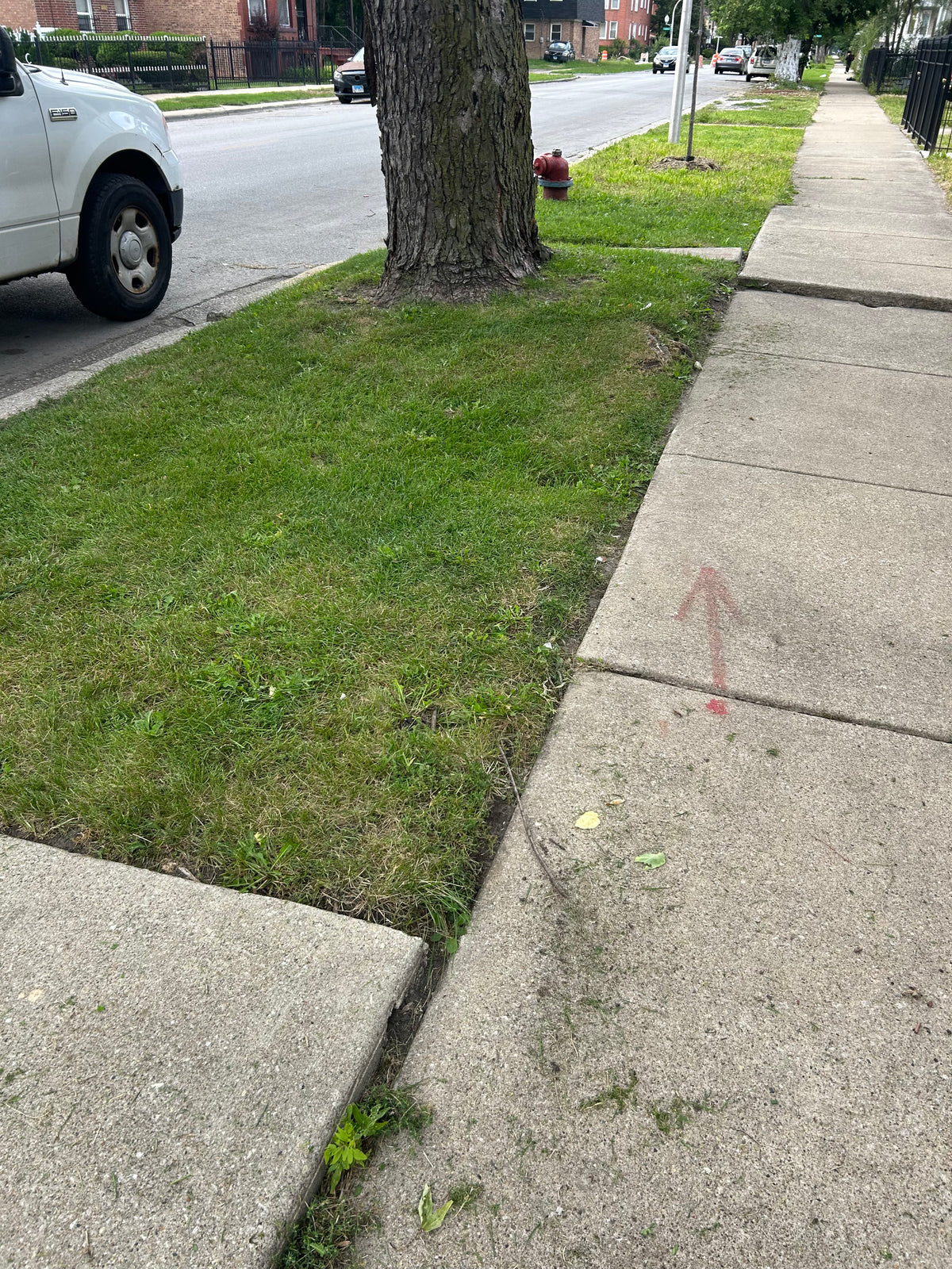 Lawn Services