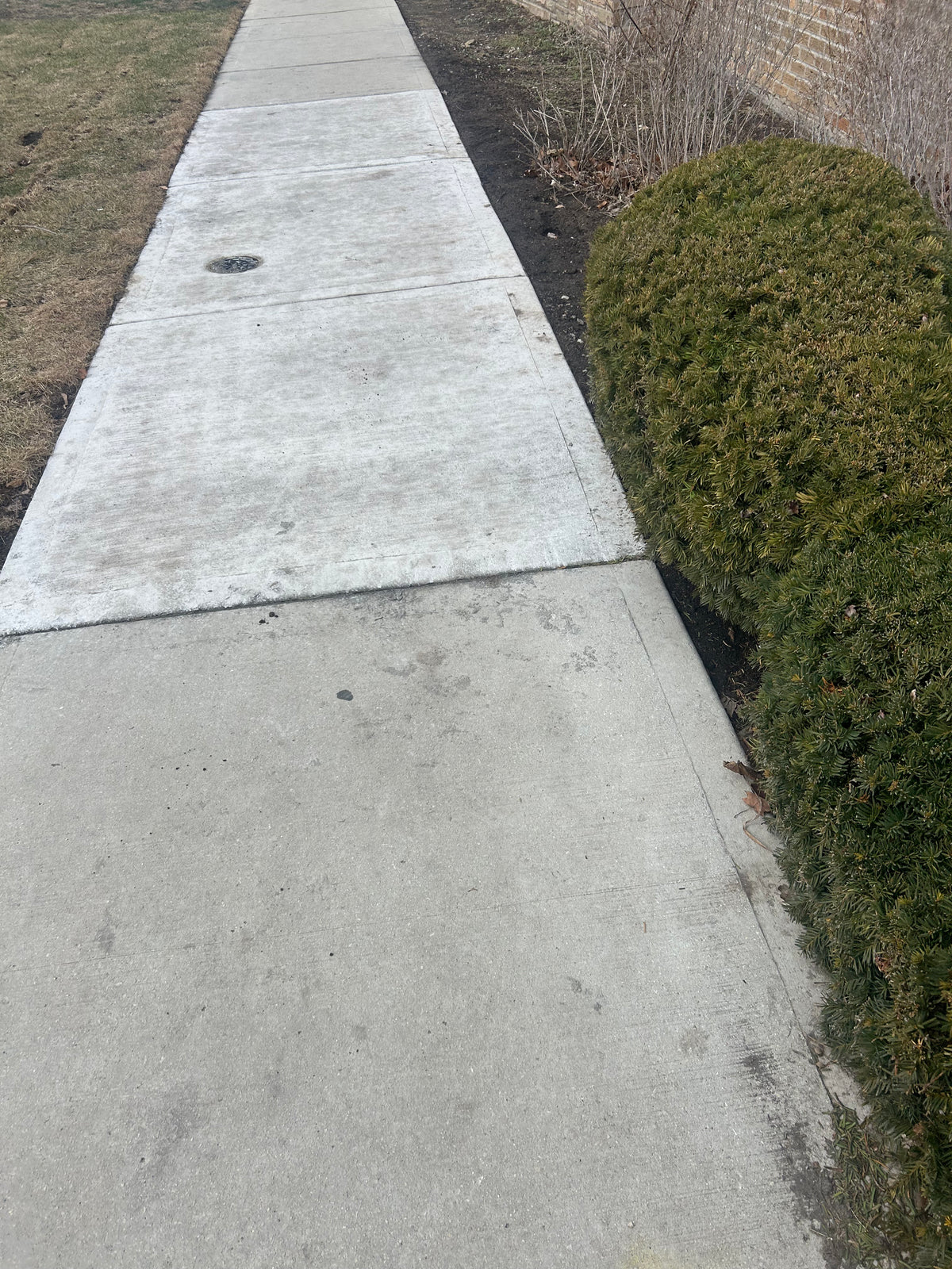 Lawn Services