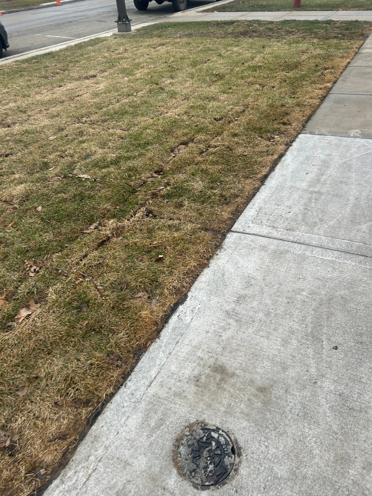 Lawn Services