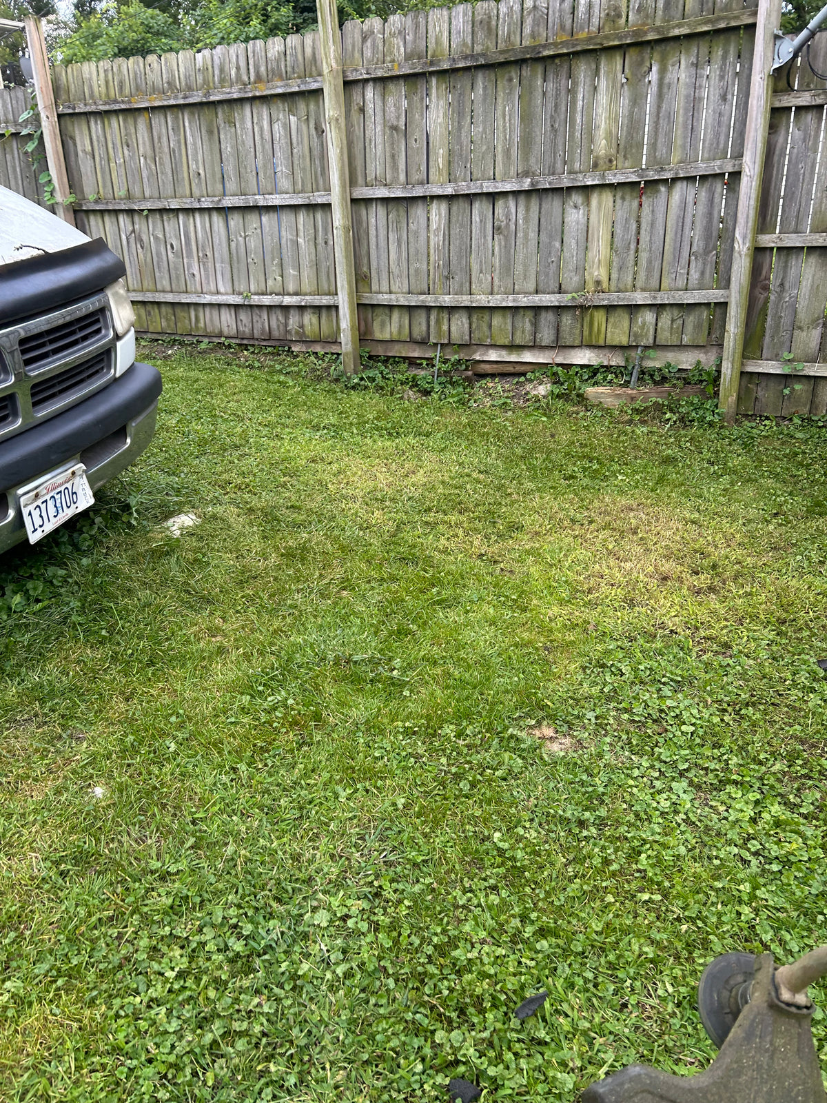 Lawn Services