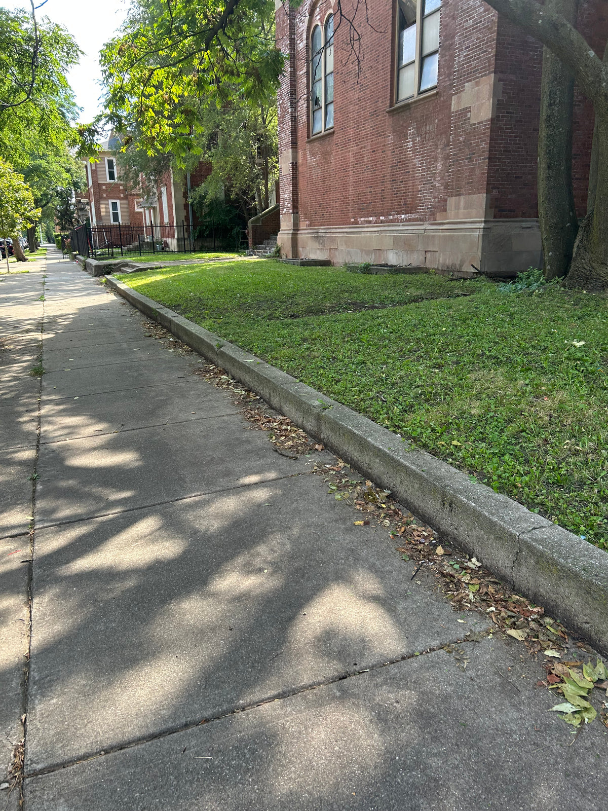 Lawn Services