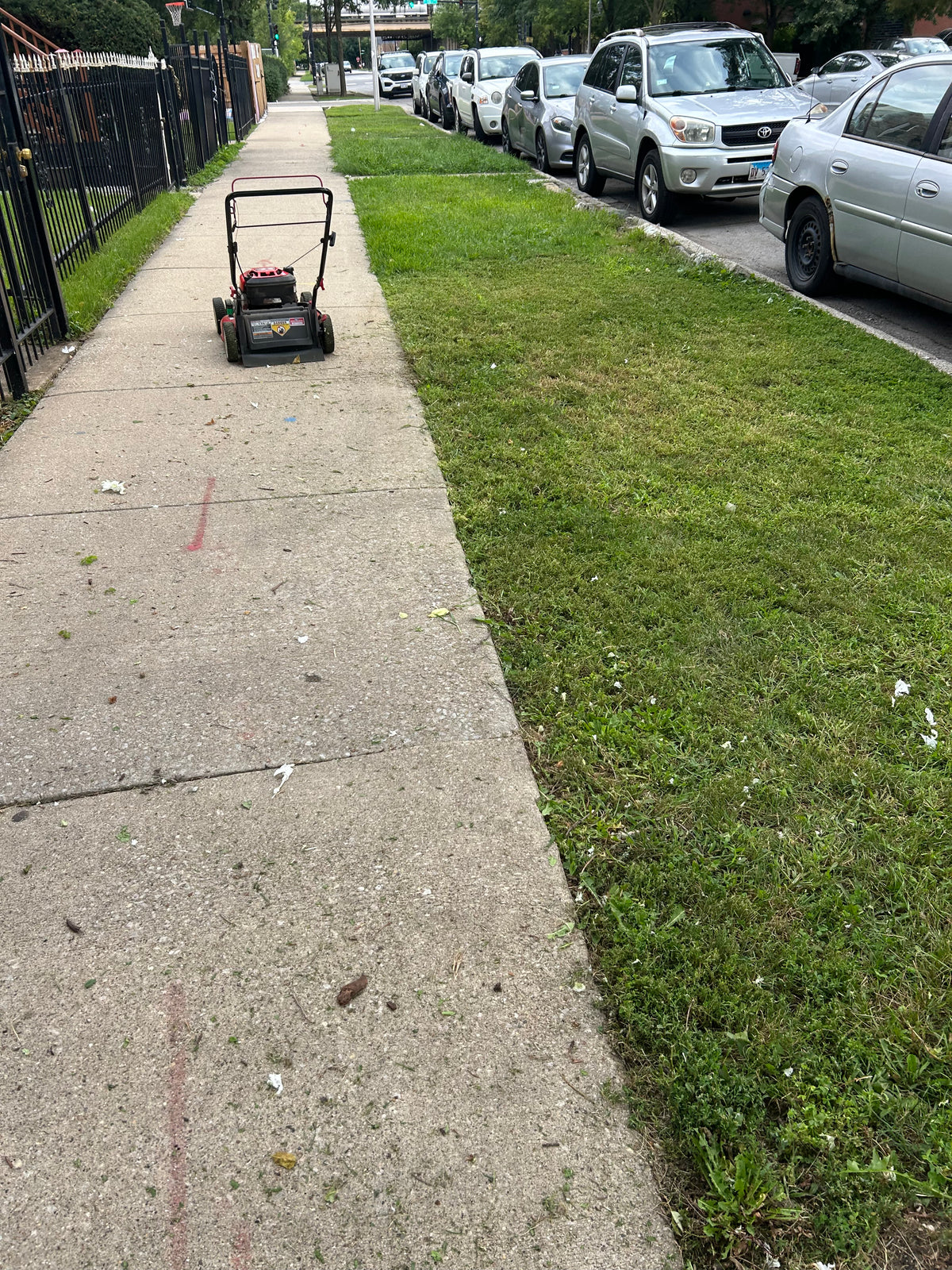 Lawn Services