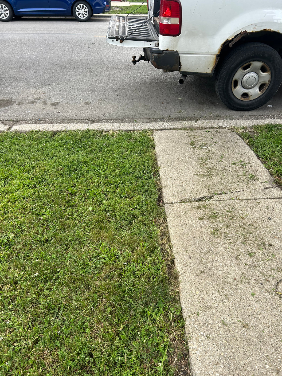 Lawn Services