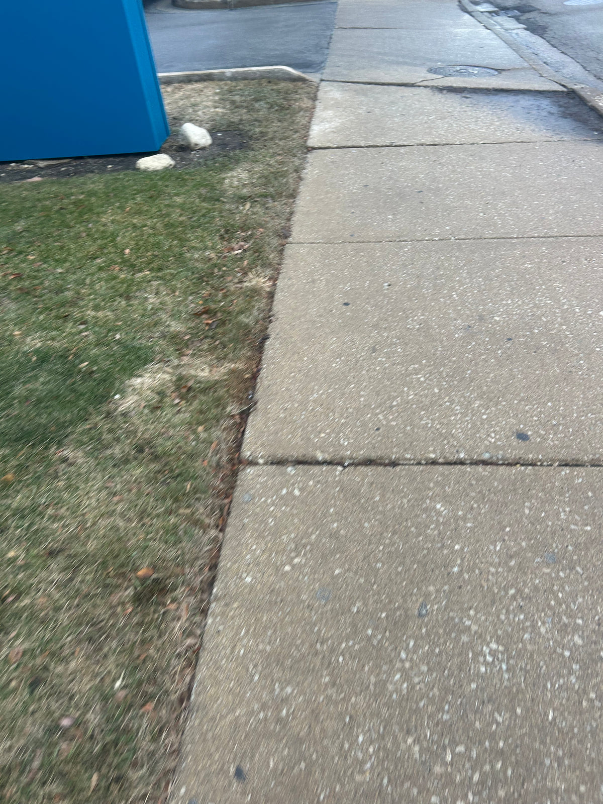 Lawn Services