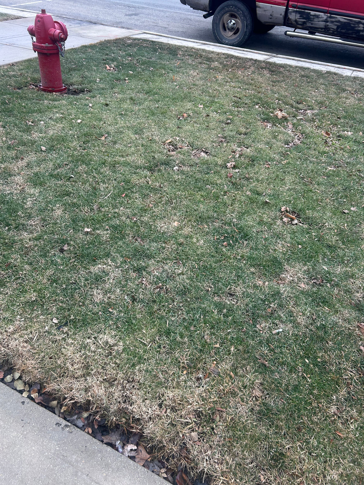 Lawn Services