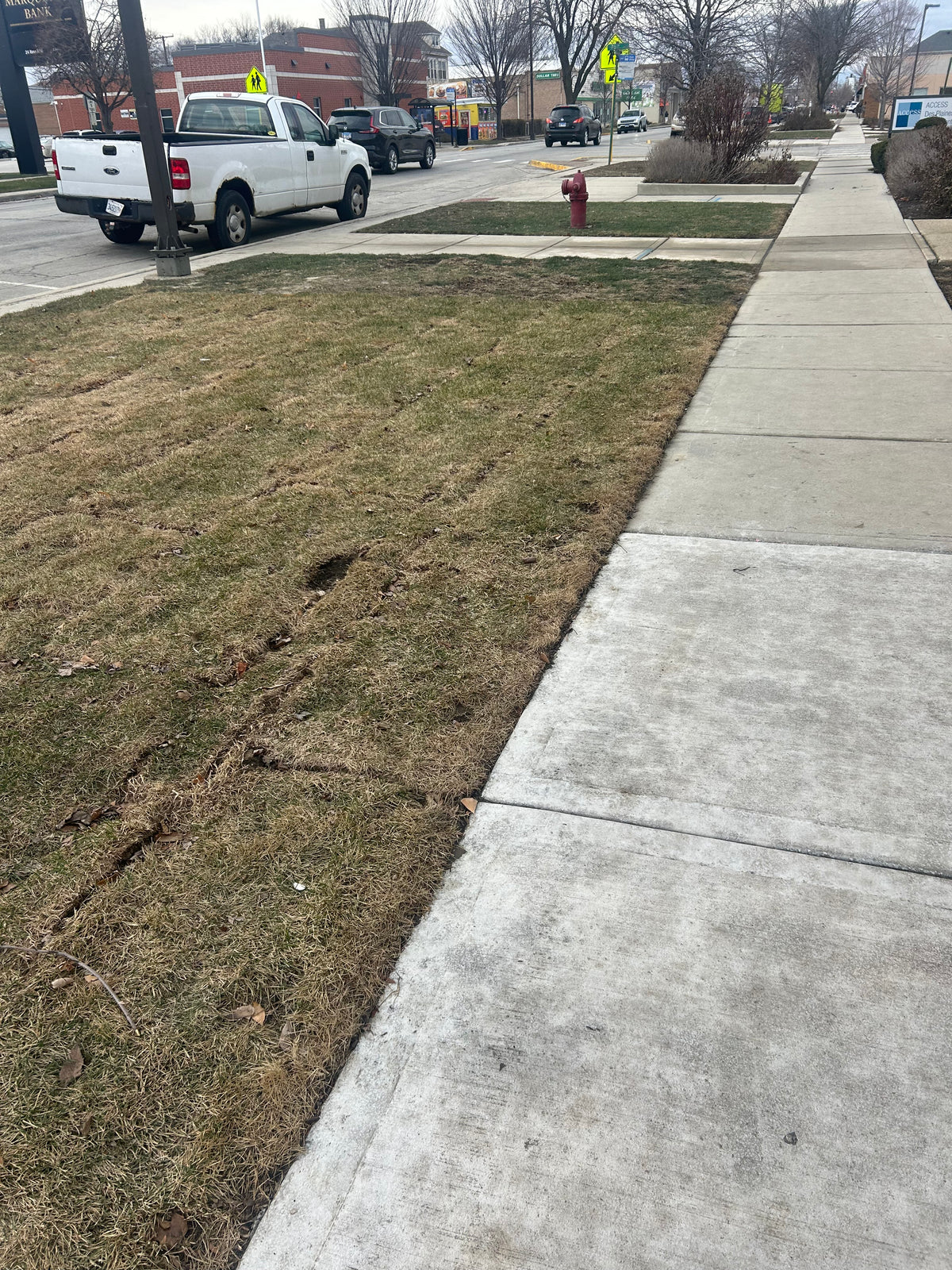 Lawn Services