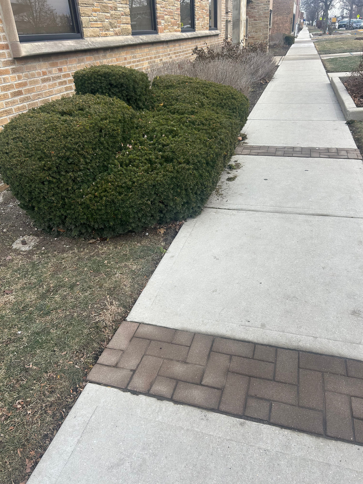 Lawn Services